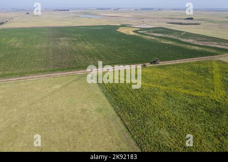 Luftaufnahme des Säfeldes in der argentinischen Landschaft, Provinz Pampas, Patagonien, Argentinien. Stockfoto