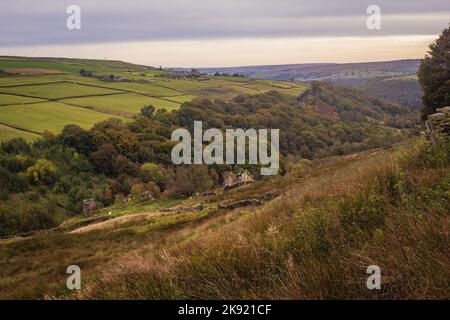 Haworth und Hebden Bridge sind die beiden beliebtesten Wanderzentren in den South Pennines. Zwischen ihnen befindet sich ein schönes Gebiet von Mooren, Feldern, Tälern und Re Stockfoto