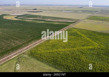 Luftaufnahme des Säfeldes in der argentinischen Landschaft, Provinz Pampas, Patagonien, Argentinien. Stockfoto