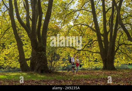 Herbst am Decksteiner Weiher in Kšln | Herbst am Deckksteiner Teich in Köln Stockfoto