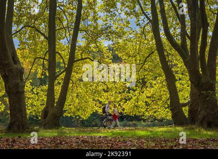 Herbst am Decksteiner Weiher in Kšln | Herbst am Deckksteiner Teich in Köln Stockfoto