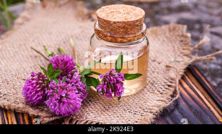 Stillleben mit Trifolium pratense, Rotklee. Sammeln Sie wertvolle Blumen aus dem Moment der Blüte, dem Abkochen von Klee und der Infusion in einer durchsichtigen Flasche Stockfoto