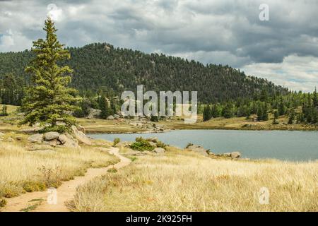 Wanderweg umgeben von Yellow Fields, Lake und Woodland Mountain. Wolkiger Himmel im Hintergrund. Atemberaubende, Vielfältige Landschaft. Thema Naturfotografie Stockfoto