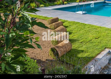 Rasen Grasrollen Laying on the ground Ready to be installed. Rollout Rasen in der Herstellung. Außenpool im Hintergrund. Hinterhof Landscapin Stockfoto