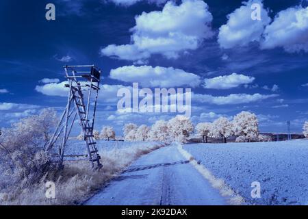 Infrarot-Landschaft mit 720 nm, strahlend weißer Vegetation, surrealen Wäldern und sanften Hügeln in Falschfarbenfotografie, traumhafte Naturszene Stockfoto
