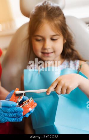 Kiefer anatomisches Modell Zähne Zähneputzen Nahaufnahme. Pädiatrischer Zahnarzt Unterricht in der Mundhygiene für Kinder in der Zahnmedizin. Der Zahnarzt zeigt dem Kind, wie es sich anstellt Stockfoto