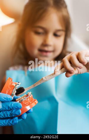 Kiefer anatomisches Modell Zähne Zähneputzen Nahaufnahme. Pädiatrischer Zahnarzt Unterricht in der Mundhygiene für Kinder in der Zahnmedizin. Der Zahnarzt zeigt dem Kind, wie es sich anstellt Stockfoto