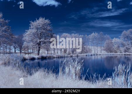 Infrarot-Landschaft mit 720 nm, strahlend weißer Vegetation, surrealen Wäldern und sanften Hügeln in Falschfarbenfotografie, traumhafte Naturszene Stockfoto