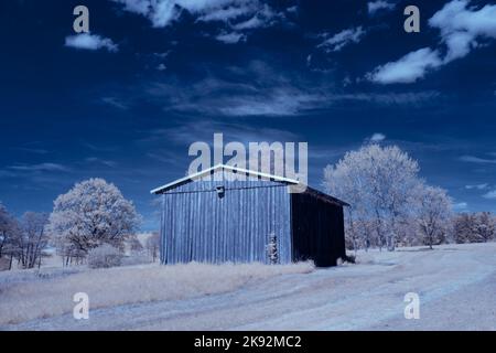 Infrarot-Landschaft mit 720 nm, strahlend weißer Vegetation, surrealen Wäldern und sanften Hügeln in Falschfarbenfotografie, traumhafte Naturszene Stockfoto