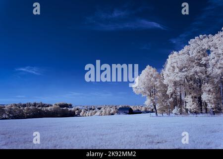 Infrarot-Landschaft mit 720 nm, strahlend weißer Vegetation, surrealen Wäldern und sanften Hügeln in Falschfarbenfotografie, traumhafte Naturszene Stockfoto