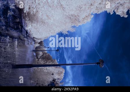 Infrarot-Landschaft mit 720 nm, strahlend weißer Vegetation, surrealen Wäldern und sanften Hügeln in Falschfarbenfotografie, traumhafte Naturszene Stockfoto