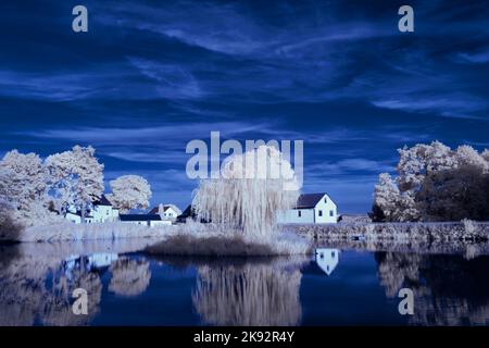 Infrarot-Landschaft mit 720 nm, strahlend weißer Vegetation, surrealen Wäldern und sanften Hügeln in Falschfarbenfotografie, traumhafte Naturszene Stockfoto