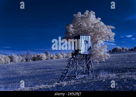 Infrarot-Landschaft mit 720 nm, strahlend weißer Vegetation, surrealen Wäldern und sanften Hügeln in Falschfarbenfotografie, traumhafte Naturszene Stockfoto