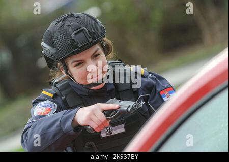 Studenten-Kadetten der Serbischen Polizeiakademie trainieren in grundlegenden Polizei-/Strafverfolgungsmethoden mit Handfeuerwaffen und verhaften einen Verdächtigen Stockfoto