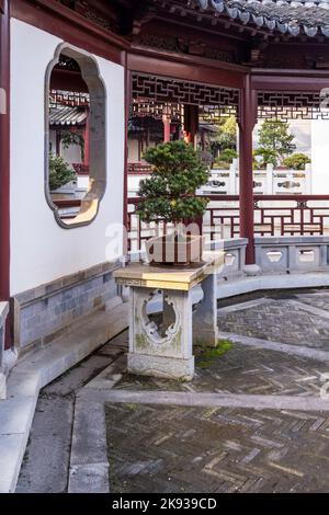 Original traditionelle chinesische Kunst Penjing oder Penzai. Miniatur-Wohnlandschaft. Bonsai-Mini-Baum Stockfoto