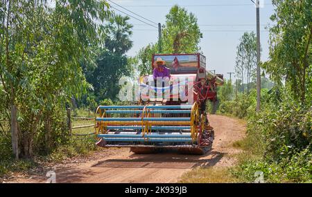 Ein Mann sitzt auf einer Reiserntemaschine auf einer kleinen Landstraße in Thailand. Stockfoto