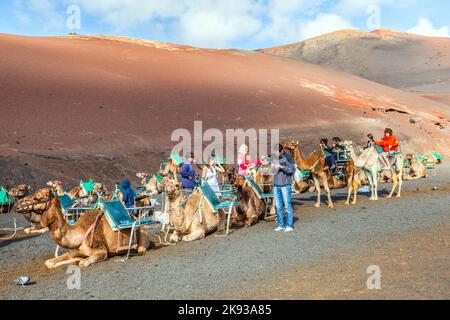 TIMANFAYA NATIONALPARK, LANZAROTE, SPANIEN - 26. DEZEMBER 2010: Touristen, die auf Kamelen reiten, werden von Einheimischen durch den berühmten Timanfaya Nat geführt Stockfoto