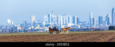 STIERSTADT, DEUTSCHLAND - 2. MÄRZ 2013: Kutscher mit Kutschfahrten auf den Feldern in Sulzbach, Deutschland. Im Hintergrund die Skyline von Frankfurt in Stockfoto