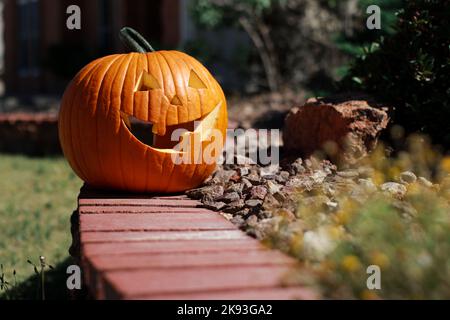Nahaufnahme des großen halloween Kürbis im Hausgarten Stockfoto