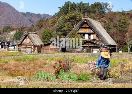 Die berühmten Bauernhäuser im Dorf Shirakawa-go, Japan Stockfoto