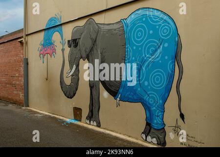 Street Art, Albany, WA, Australien Stockfoto