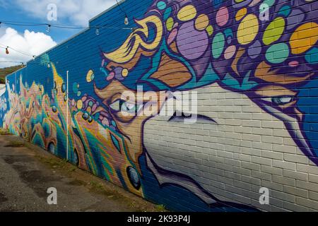 Street Art, Albany, WA, Australien Stockfoto