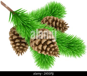 Green Pine Branche mit drei Tannenzapfen. Design-Element für Weihnachtskarten auf weißem Hintergrund Stock Vektor