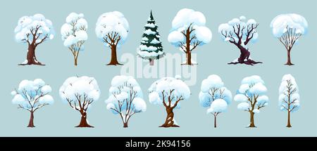 Cartoon-Winterbäume, isolierte Vektor-Winterwald und Gartenpflanzen mit Schnee auf Ästen. Birke, Fichte, Eiche, Ahorn oder Ulme in Park oder Holz, natürlicher, saisonaler Winterlandschaftsbaum Stock Vektor