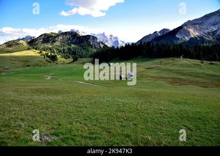 Weite Weideflächen auf dem Hochplateau des Prato Piazza auf 2000 Metern Höhe Stockfoto