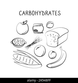 Kohlenhydrathaltige Lebensmittel. Gruppen von gesunden Lebensmitteln mit Vitaminen und Mineralstoffen. Set aus Obst, Gemüse, Fleisch, Fisch und Milchprodukten. Stock Vektor