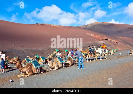 TIMANFAYA NATIONALPARK, LANZAROTE, SPANIEN - DEZEMBER 26: Touristen, die auf Kamelen reiten, werden von Einheimischen durch das berühmte Timanfaya National geführt Stockfoto