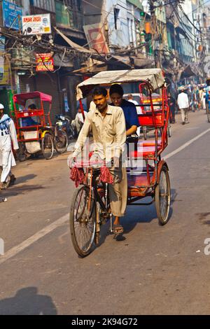 DELHI, INDIEN - NOV 9: Rikscha-Fahrer transportiert Passagiere am frühen Morgen des 08,2011. November in Delhi, Indien. Zyklus-Rikschas wurden in Del eingeführt Stockfoto