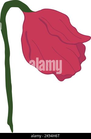 Handgezeichnete Vektordarstellung der roten Blume isoliert auf weißem Hintergrund Stock Vektor