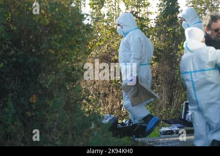 Mitglieder des Garda-Forensik-Teams am Tatort in Rattin bei Milltownpass, Co Westmeath, nachdem der Leichnam eines Mannes im Alter von 60s Jahren in einem Haus entdeckt wurde. Bilddatum: Mittwoch, 26. Oktober 2022. Stockfoto