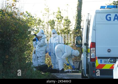 Mitglieder des Garda-Forensik-Teams am Tatort in Rattin bei Milltownpass, Co Westmeath, nachdem der Leichnam eines Mannes im Alter von 60s Jahren in einem Haus entdeckt wurde. Bilddatum: Mittwoch, 26. Oktober 2022. Stockfoto