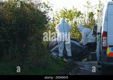 Mitglieder des Garda-Forensik-Teams am Tatort in Rattin bei Milltownpass, Co Westmeath, nachdem der Leichnam eines Mannes im Alter von 60s Jahren in einem Haus entdeckt wurde. Bilddatum: Mittwoch, 26. Oktober 2022. Stockfoto