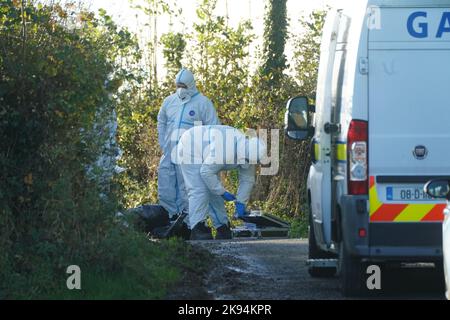 Mitglieder des Garda-Forensik-Teams am Tatort in Rattin bei Milltownpass, Co Westmeath, nachdem der Leichnam eines Mannes im Alter von 60s Jahren in einem Haus entdeckt wurde. Bilddatum: Mittwoch, 26. Oktober 2022. Stockfoto