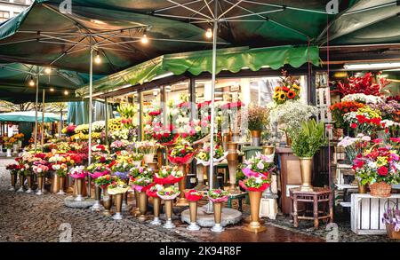 Blumenstand auf dem Plac Solny Platz in der Nähe des zentralen Marktplatzes in Breslau Stockfoto