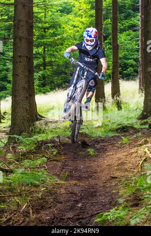 KRONBERG, DEUTSCHLAND - JULI 7: Downhillbiker springt am 7,2012. Juli in Kronberg über eine Rampe im Wald. Downhillrennen in Wäldern sind geplant Stockfoto