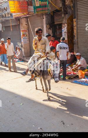 DELHI, INDIEN - Okt 16: Eselreiter transportiert am 16. Oktober 2012 Waren bei Chhawri Bazar in Delhi, Indien. Chawri Bazar wurde 1840 gegründet und war der erste Stockfoto