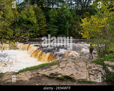 Aysgarth oberen Fällen von drei Stufen Wasserfälle auf dem Fluss Ure im Yorkshire Dales National Park North Yorkshire England Großbritannien mit Besucher Blick auf den Fluss i Stockfoto