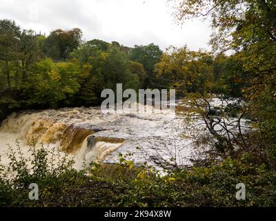 Aysgarth Middle Falls aus dem Freeholder's Wood im Local Nature Reserve Wensleydale Yorkshire Dales National Park North Yorkshire England Großbritannien Stockfoto