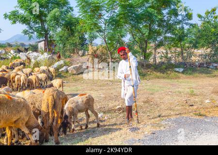 Pushkar, Indien - 22. Oktober 2012: Ein Stammesmann aus Rajasthani trägt traditionellen bunten Turban und bringt seine Herde Schafe zum jährlichen Pushkar Ca Stockfoto