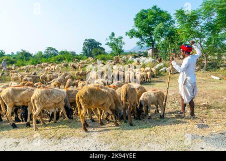 PUSHKAR, INDIEN - 22. OKTOBER: Ein Stammesmann aus Rajasthani trägt traditionellen bunten Turban und bringt seine Herde Schafe zum jährlichen Pushkar-Rind F Stockfoto