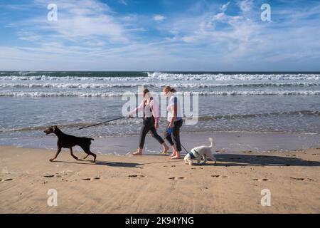 Zwei Frauen laufen mit ihren Hunden am Fistral Beach in Newquay in Cornwall in England entlang der Küste. Stockfoto