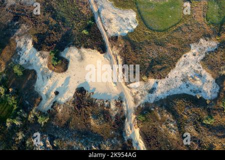 Heide mit Sanddünen, Luftaufnahme, Belgien, Antwerpen, Kalmthout, Kalmthoutse heide Stockfoto