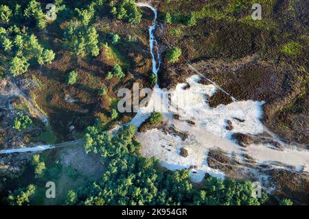 Heide mit Sanddünen, Luftaufnahme, Belgien, Antwerpen, Kalmthout, Kalmthoutse heide Stockfoto