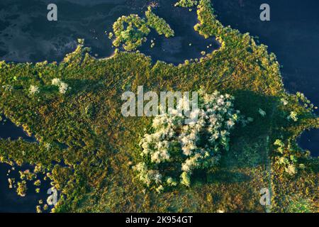 Luftaufnahme von Stappersven, Belgien, Antwerpen, Kalmthout, Kalmthoutse heide Stockfoto