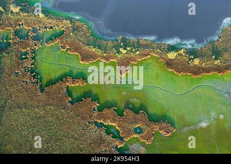 Luftaufnahme des Naturschutzgebietes Stappersven-Kalmthoutse Heide, Belgien, Antwerpen, Kalmthout, Kalmthoutse heide Stockfoto