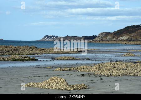 Küstenlandschaft mit Austern in der Bucht von Saint-Brieuc, Frankreich, Bretagne Stockfoto